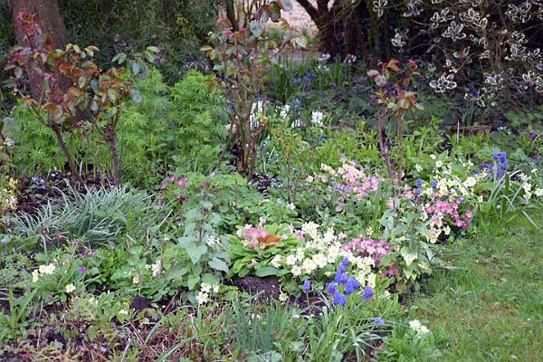 4. Spring flowers.jpg